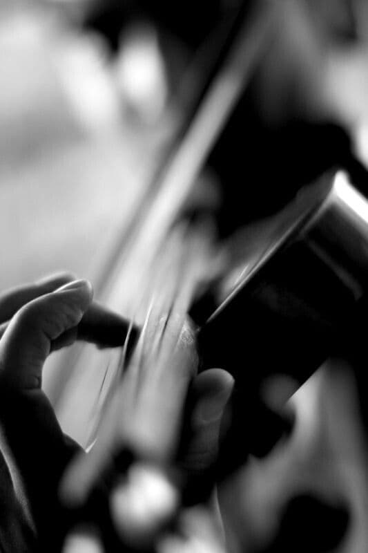 Close detail of a violin bow and bridge